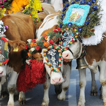 Your - In 4* Kufstein