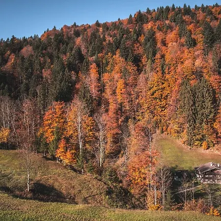 Apart Otel Your - In Kufstein
